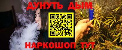 mdpv Новодвинск