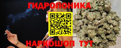 МДМА Новозыбков