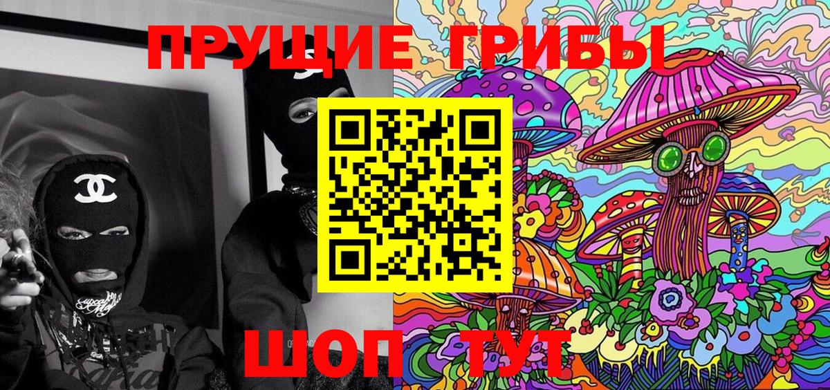 Галлюциногенные грибы прущие грибы  Вход с VPN  Галлюциногенные грибы Psilocybe  Большой Камень 